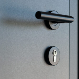 Fenstermaxx24 – FM haustueren drucker blackline 01 1